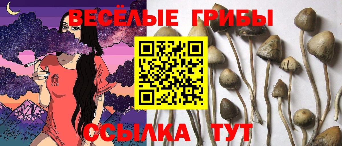 цена   Галлюциногенные грибы мухоморы  Усолье-Сибирское  Вход с VPN  Псилоцибиновые грибы мухоморы 