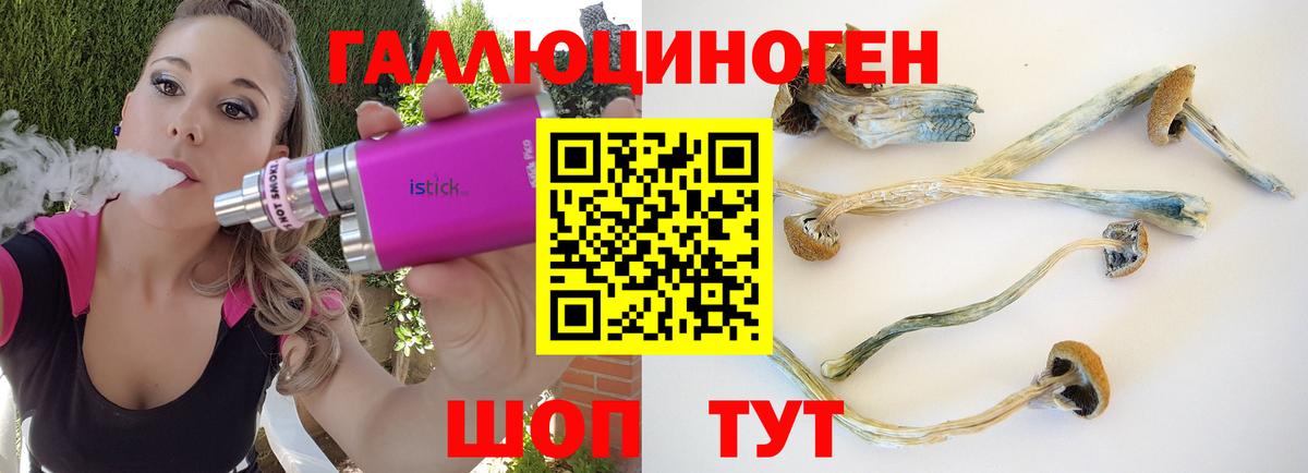 Галлюциногенные грибы MAGIC MUSHROOMS Усолье-Сибирское